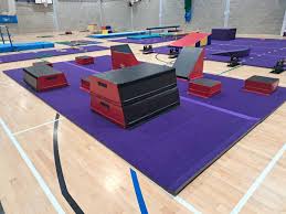 Image result for City Of Salford Gymnastics Club