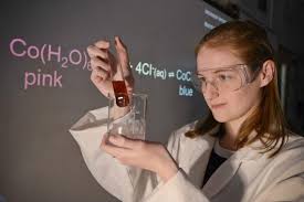 Image result for Salthouse Bowling Club