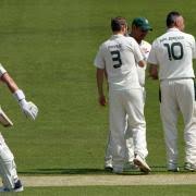 Image result for Portland Red Triangle Cricket Club