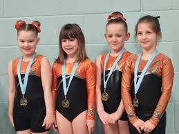 Image result for South Western Gymnastics Club