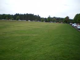 Image result for Cannock Cc
