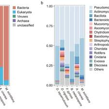 Attēlu rezultāti vaicājumam “Claustria didermoides”