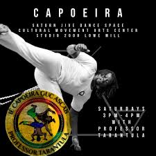 Image result for Capoeira Classes