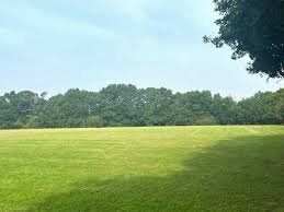 Image result for Hythe & Dibden Cricket Club