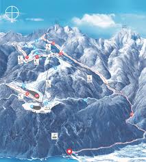 Image result for vogel