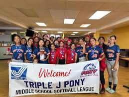 Image result for Dragons Softball Club