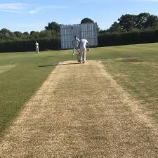 Image result for Woodford Cc