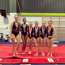 Image result for Wiltshire School Of Gymnastics