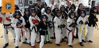 Image result for Turners Tae Kwon Do