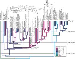 Image result for genome sizes