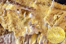 Attēlu rezultāti vaicājumam “Antrodia xantha”