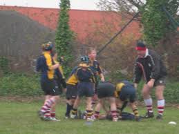 Image result for Whitstable Rugby Football Club