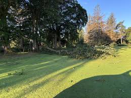 Image result for Hazlehead Golf Club