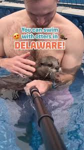 Image result for Otters Old Time Dance Club