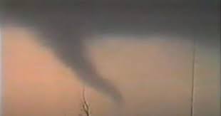 Image result for Leicester City Tornadoes