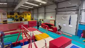 Image result for Brumby Gymnastics Club