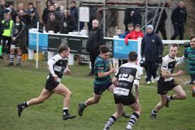 Image result for Sutton & Epsom Rugby Football Club