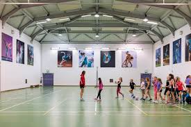 Image result for One Rail Netball Club