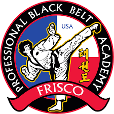 Image result for Professional  Martial Arts Academy