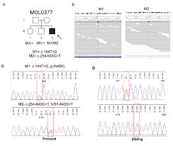 Image result for Generation 2 Ttc