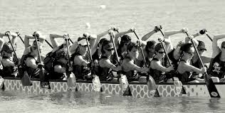 Image result for Wam Dragon Boat Racing Team