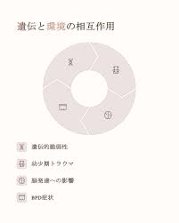 Image result for 衝動制御障害BPD