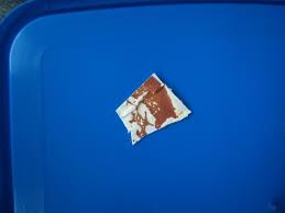 Attēlu rezultāti vaicājumam “Badhamia sp.”