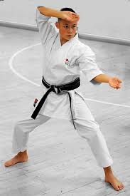 Image result for Eurokwai Shotokan Karate Club