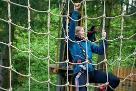 Image result for Go Ape! Moors Valley