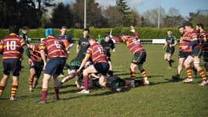Image result for Ipswich Ym Rugby Union Football Club