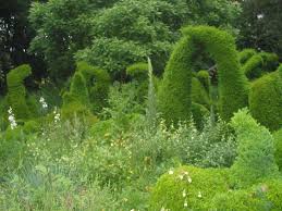 Image result for Priona Tuinen