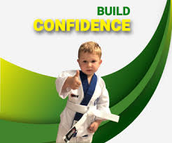 Image result for Mickleham Seiki Juku Karate Club