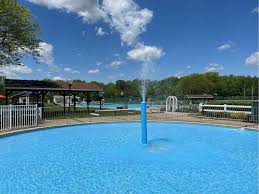 Image result for Tynedale Swimming Club