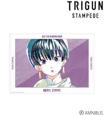 「メリル・ストライフ」の画像検索結果