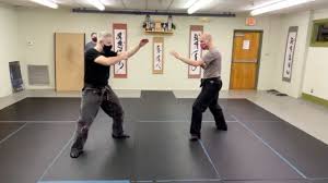 Image result for Bujinkan Truro Dojo