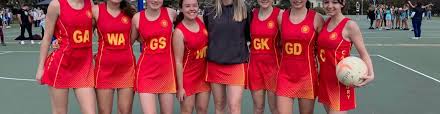 Image result for Timsbury Netball Club
