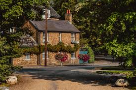 Image result for Cobham