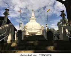 Image result for Buddha Maligavilla Srilanka