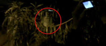 FOTO POCONG ROXY (YOUTUBE) MAKHLUK GHAIB 