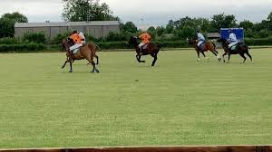 Image result for Taunton Vale Polo Club