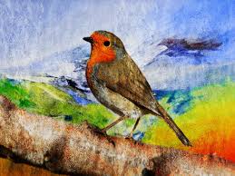Image result for Bird