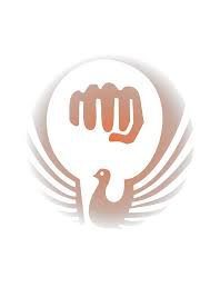 Image result for Karate Wado Kai