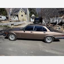 Image result for Curlew 1986 Jaguar