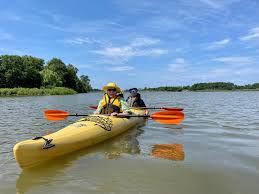 Image result for Chester Canoe Club