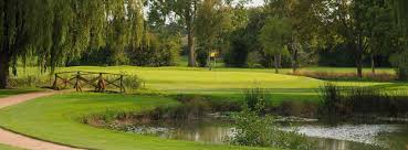 Image result for Avro Golf Club