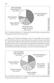 Attēlu rezultāti vaicājumam “Cetrelia sp.”