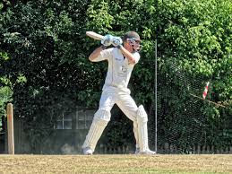 Image result for Henfield Cricket Club