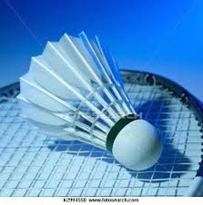 Image result for Ernsford Grange Badminton Club
