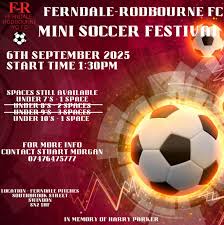 Image result for A F C Rodbourne