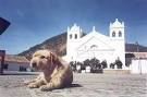 One of the famous Bolivian - via Daymix